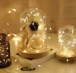 Wondersathome Kersthanger><noscript><img width=