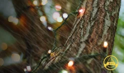 Qualu Led Lichtsnoer Met Zonne-Energie - Dag En Nacht Sensor - Igia Teron - 0.06W - 11.9 Meter - 100 Led's Meerkleurig - Waterdicht Ip44 - Zwart Online