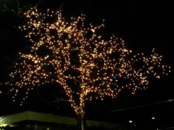 Merkloos Led-Verlichting 720 Led's 54 Meter Best Sale