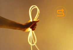 Aigostar Lichtslang 50 Meter | 120 Leds/Meter 3000K | Sproeidicht Ip65 | 230V Ac Online