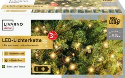 * Livarno Home Led-Lichtsnoer 100Xled Met Batterijen Store