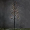 Luca lighting - Garden D''Light Tak Boom Zwart Warm Wit 118Led Ip44 8 Function Controller En Timer - L80Xh150Cm - Woonaccessoires En Seizoensgebondendecoratie (Europese Stekker ) Flash Sale