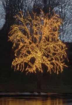 Star Trading Luca Lighting - Snoer Extra Luca Connect Xp Lengte 10 Meter Met 100 Lampjes - Warm Wit Sale