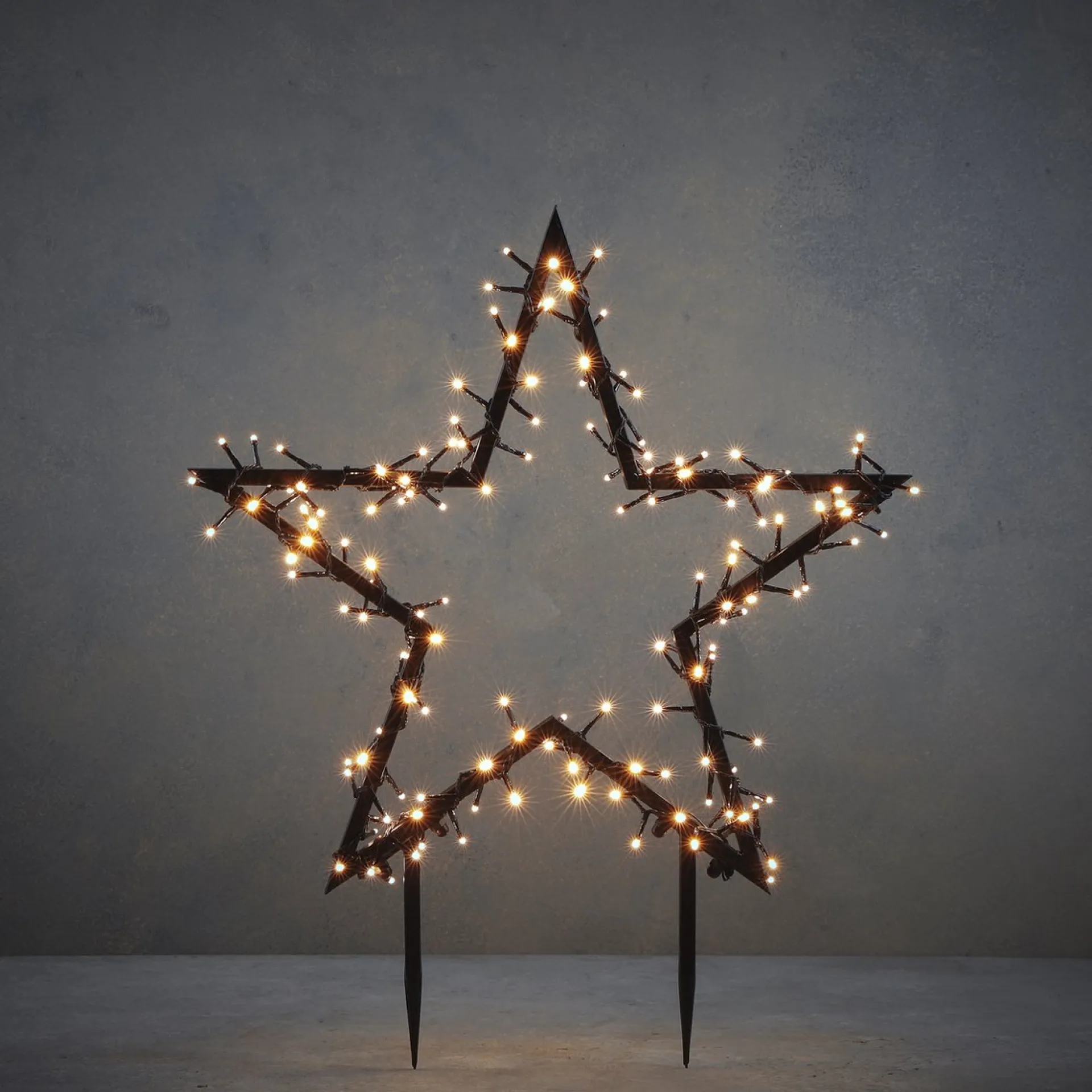 Luca lighting Garden D'Light Ster Tuinsteker Met Warm Witte Led Verlichting - L60 X H73 Cm - Zwart Cheap