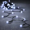 Luca lighting Snoerverlichting Berry 14,4 M 192 Led Koud Wit Clearance