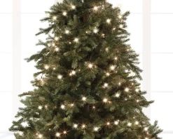 Lumineo Kerstverlichting - 18 M - Warm Wit - 240 Leds - Lichtsnoer Store