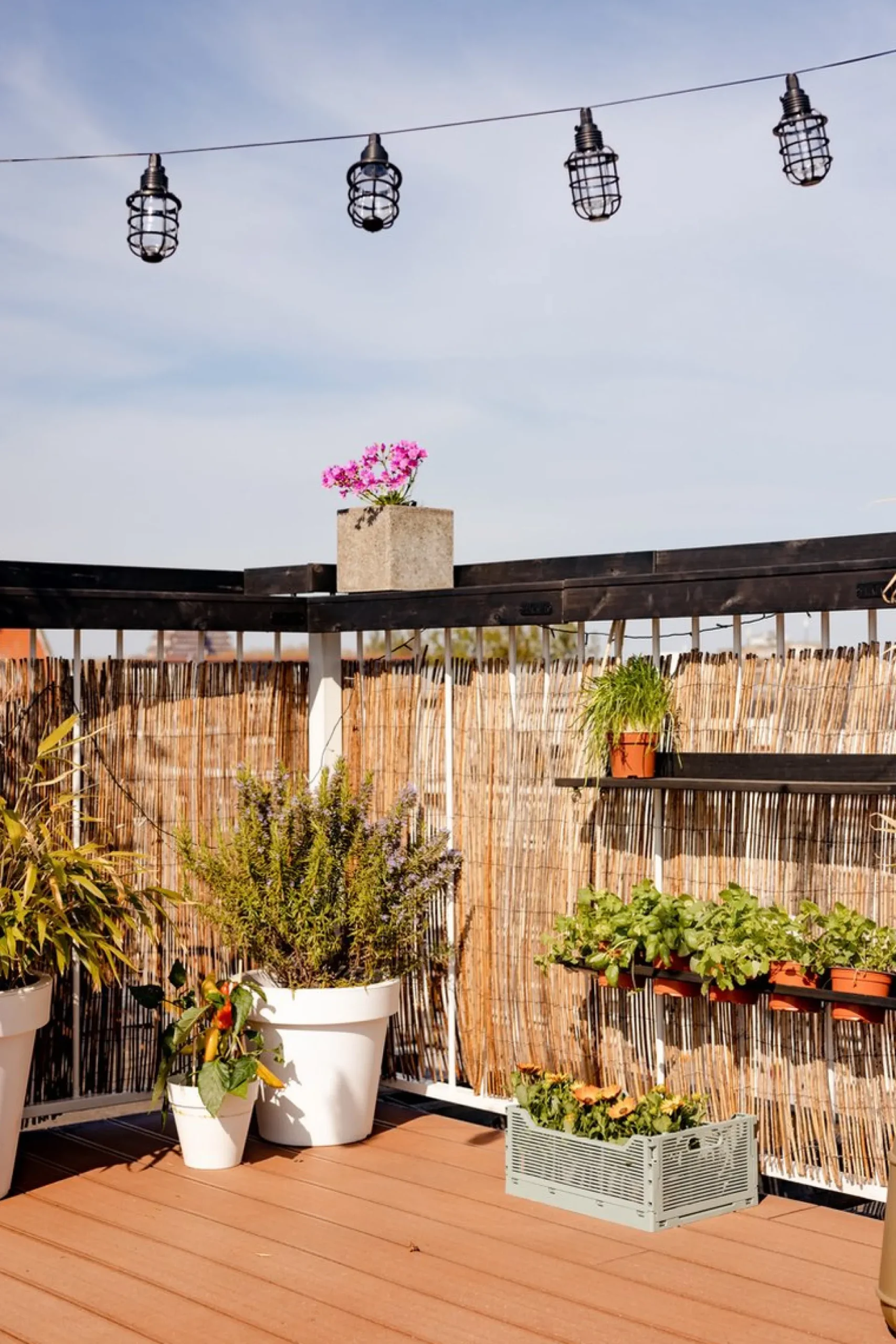 LuxForm Tuinlichtsnoer Corsica Solar Led Transparant En Zwart Sale