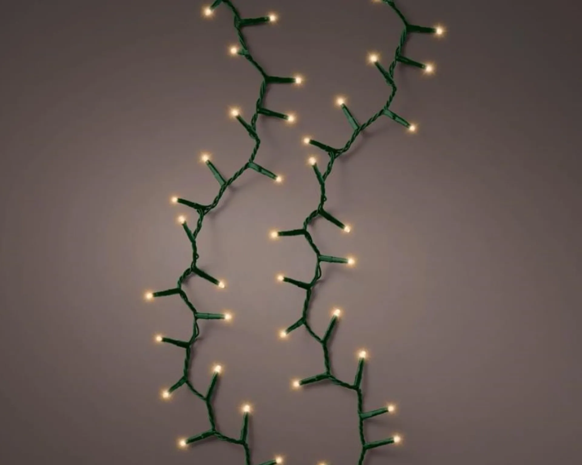 Lumineo 22,5M Led Compact Kerstverlichting - Steady - 1000 Lampjes - Goud - Dimbaar 22.5 Cm Outlet