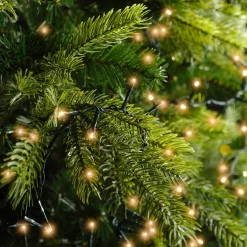 Lumineo 22,5M Led Compact Kerstverlichting - Steady - 1000 Lampjes - Goud - Dimbaar 22.5 Cm Outlet