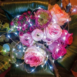 Lumineo Micro Kerstverlichting Op Batterij Helder Wit 60 Lampjes - Microverlichting New