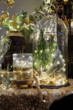 Lumineo Micro Kerstverlichting Op Batterij Helder Wit 60 Lampjes - Microverlichting New