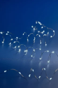 Lumineo Micro Kerstverlichting Op Batterij Helder Wit 60 Lampjes - Microverlichting New