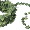 Rayher hobby materialen Guirlandes>Mini Hedera Guirlande Slinger Kerstdorp Decoratie 750 X 1 Cm Kunststof - Hobby Materiaal
