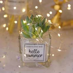 Nuvance - Led Lichtsnoer Voor Binnen En Buiten - 10 Meter - 100 Lampjes - Warm Wit - Lampjes Slinger - Lichtslinger - Kerstverlichting Voor Binnen En Buiten - Kerstversiering - Kerstdecoratie Online