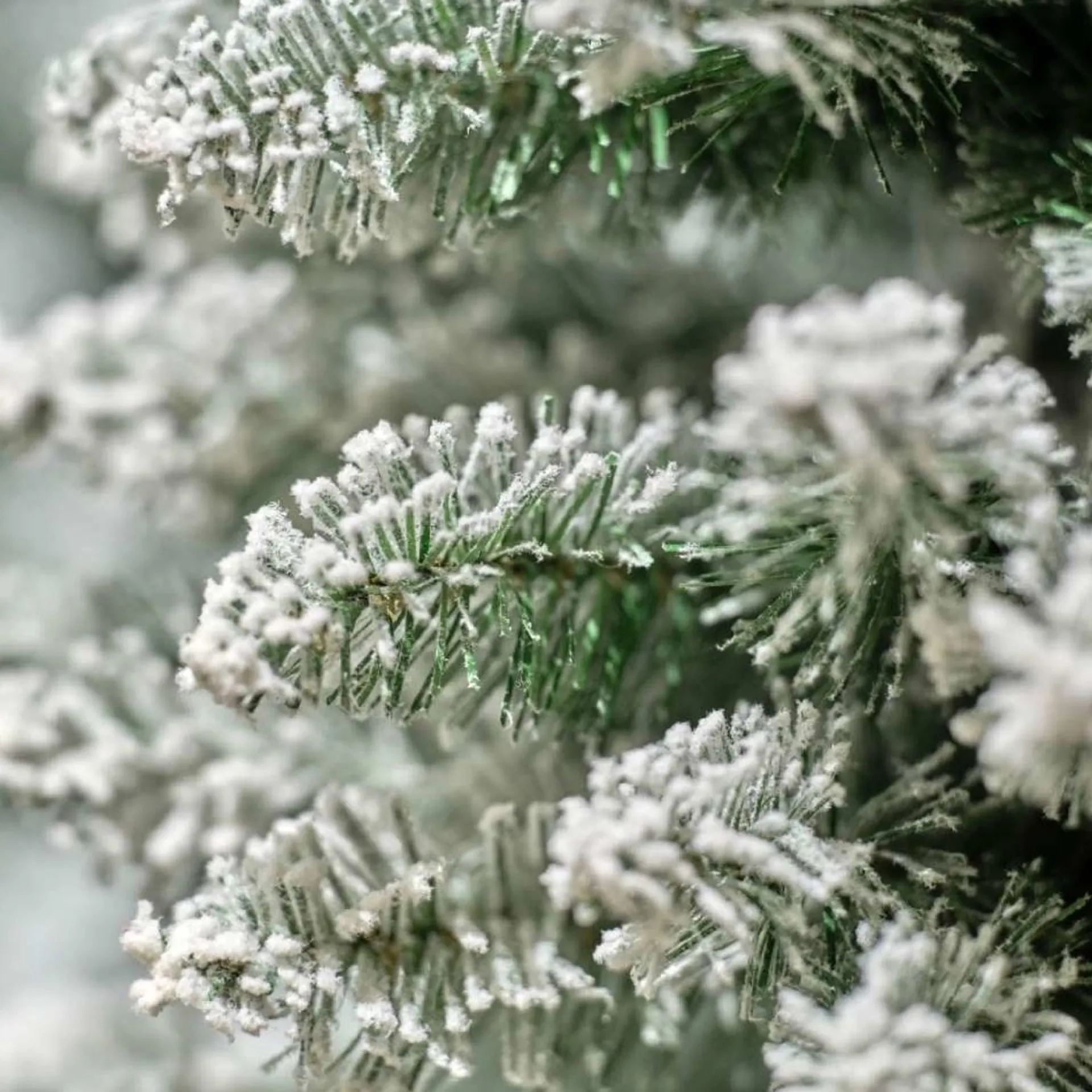 Everlands Pencil Pine Snowy Kunstkerstboom | Smal | Wit/Sneeuw | 240Cm Flash Sale