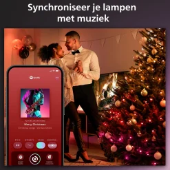 Philips Hue Festavia Lichtsnoer - 20 Meter - 250 Led's Cheap