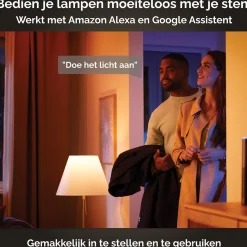 Philips Hue Festavia Lichtsnoer - 20 Meter - 250 Led's Cheap