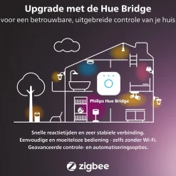 Philips Hue Festavia Lichtsnoer - 20 Meter - 250 Led's Cheap