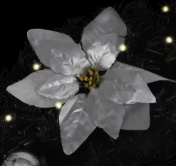 Prolenta Premium Guirlandes><noscript><img width=