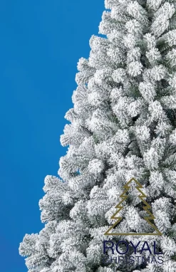 Royal Christmas - Flock Kunstkerstboom Promo - 210 Cm - Besneeuwd Cheap