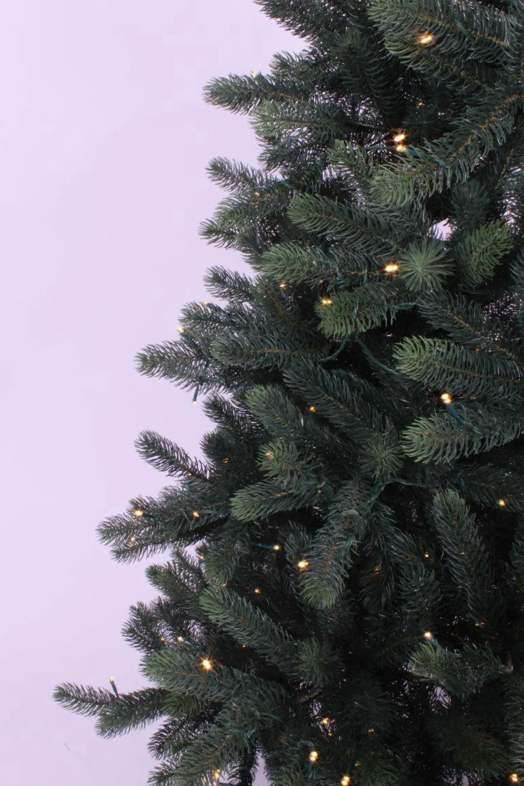 Royal Christmas - Kunstkerstboom - Hawaii Abies Nordmann Deluxe 100% Pe - Met 700 Warm Led Lampjes - Snelle Opbouw - Hoogte 240 Cm Best