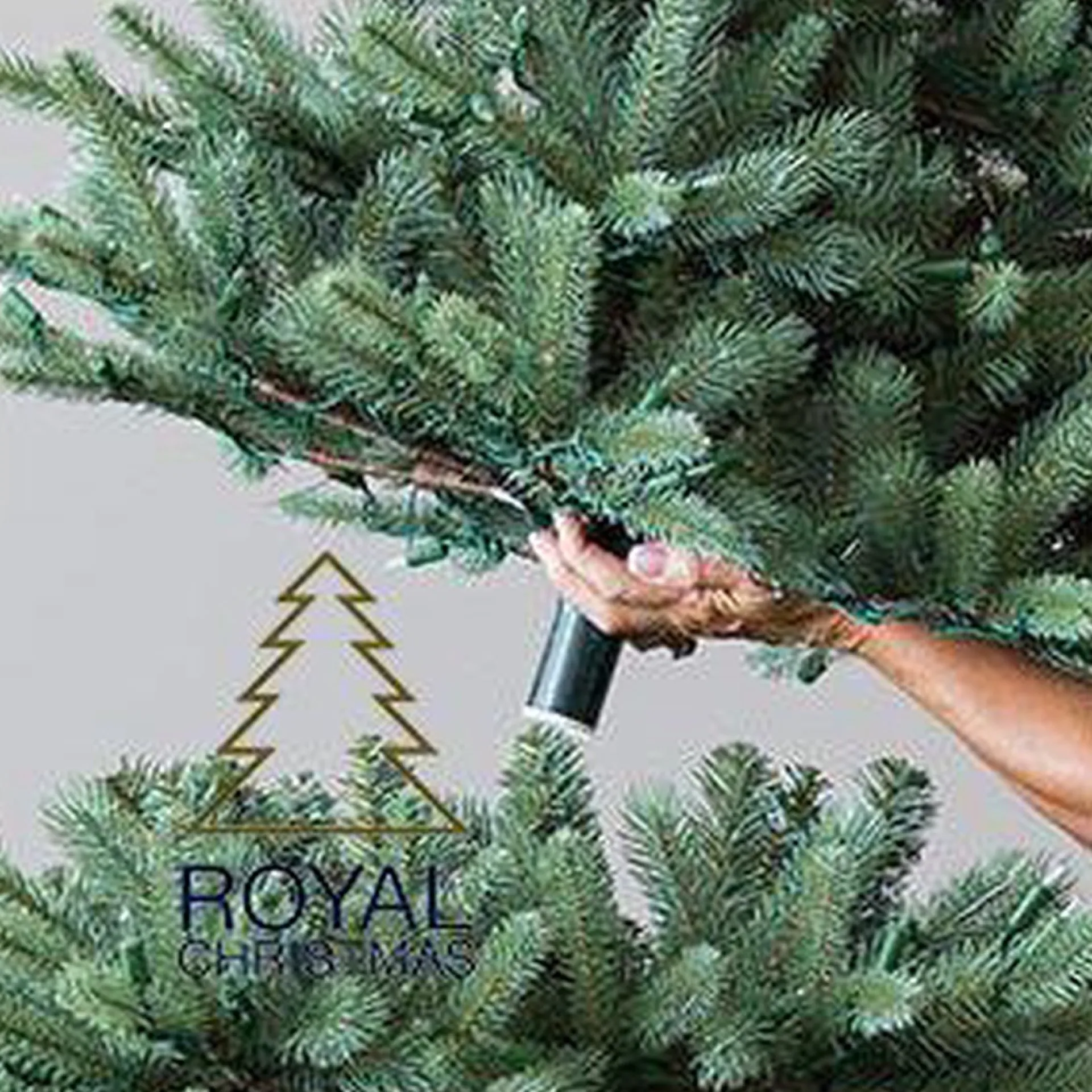 Royal Christmas - Kunstkerstboom - Hawaii Abies Nordmann Deluxe 100% Pe - Met 700 Warm Led Lampjes - Snelle Opbouw - Hoogte 240 Cm Best