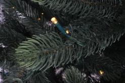 Royal Christmas - Kunstkerstboom - Hawaii Abies Nordmann Deluxe 100% Pe - Met 700 Warm Led Lampjes - Snelle Opbouw - Hoogte 240 Cm Best