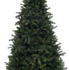 Royal Christmas - Kunstkerstboom - Ontario 100% Pe Premium - 210 Cm - 1583 - Takken - Groen Outlet