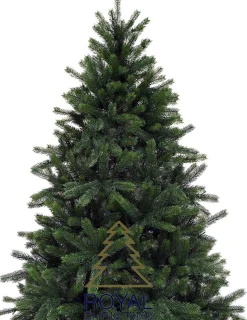 Royal Christmas - Kunstkerstboom - Ontario 100% Pe Premium - 210 Cm - 1583 - Takken - Groen Outlet