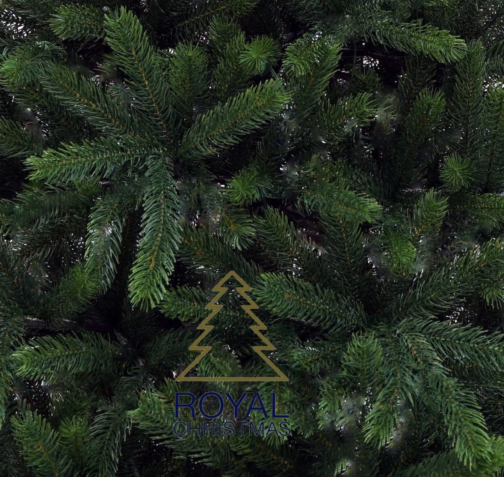 Royal Christmas - Kunstkerstboom - Ontario 100% Pe Premium - 210 Cm - 1583 - Takken - Groen Outlet