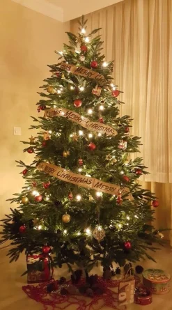 Royal Christmas - Kunstkerstboom - Delaware Pe / Pvc Deluxe - 700 Led Lampjes - 240 Cm - 5817 Takken - Groen Cheap