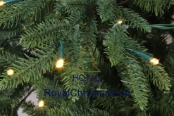 Royal Christmas - Kunstkerstboom - Delaware Pe / Pvc Deluxe - 700 Led Lampjes - 240 Cm - 5817 Takken - Groen Cheap