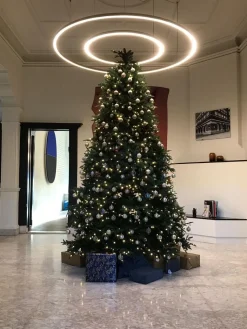 Royal Christmas - Kunstkerstboom - Delaware Pe / Pvc Deluxe - 700 Led Lampjes - 240 Cm - 5817 Takken - Groen Cheap