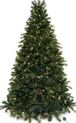 Royal Christmas - Kunstkerstboom - Bogota Pe / Pvc Smart - 400 Led Lampjes - 210 Cm - 1687 Takken - Groen Online
