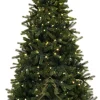 Royal Christmas - Kunstkerstboom - Ontario Premium 100% Pe Smart - 300 Led Lampjes - 180 Cm - 1066 Takken - Groen Flash Sale