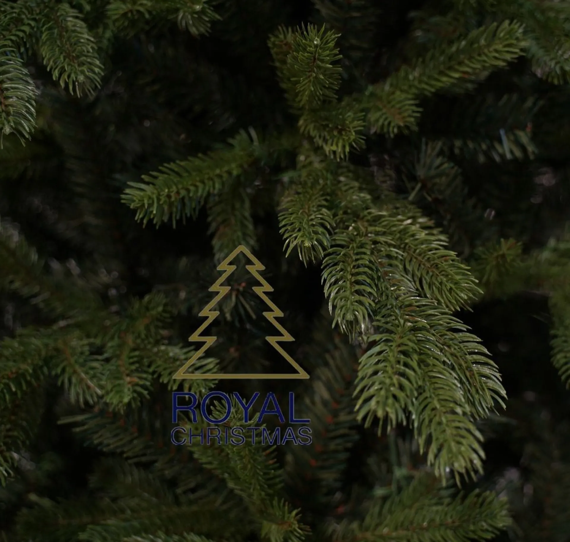 Royal Christmas - Kunstkerstboom - Spitsbergen Premium Pe/Pvc 2480 Takken Groen 270 Cm Clearance
