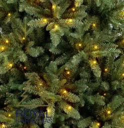 Royal Christmas - Kunstkerstboom - Arkansas Inclusief Smart Led Verlichting - 250 Lampjes - Groen 210 Cm Cheap