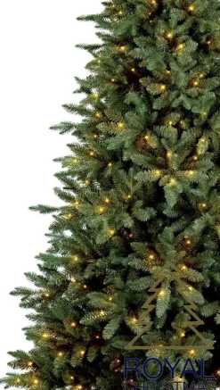 Royal Christmas - Kunstkerstboom - Arkansas Inclusief Smart Led Verlichting - 250 Lampjes - Groen 210 Cm Cheap