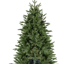 Royal Christmas - Kunstkerstboom - Arkansas Pe / Pvc Premium - Hoogte 210 Cm - Zonder Verlichting - 1468 Takken Clearance