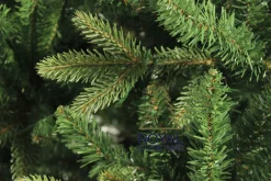 Royal Christmas - Kunstkerstboom - Arkansas Pe / Pvc Premium - Hoogte 210 Cm - Zonder Verlichting - 1468 Takken Clearance