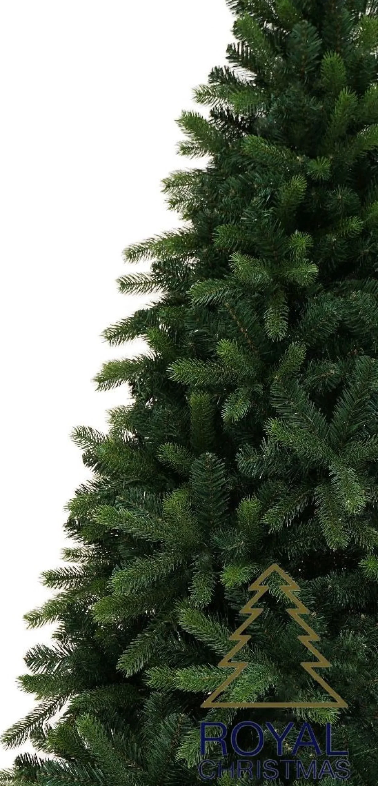 Royal Christmas - Kunstkerstboom - Bogota Pe / Pvc Premium 180 Cm - 1131 Takken - Groen - Zonder Verlichting Discount