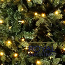 Royal Christmas - Kunstkerstboom - Norway Spruce Pe/Pvc - 450 Led Lampjes - Fbu - 210 Cm Online
