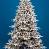 Royal Christmas - Kunstkerstboom - Gillam Pe / Pvc Sneeuw Smart - 350 Led Lampjes - 210 Cm - 1303 Takken Outlet