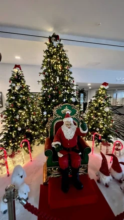 Royal Christmas - Kunstkerstboom - Spitsbergen Groen Met Led-Verlichting - Inclusief Smart Adapter 240 Cm Outlet