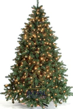 Royal Christmas - Kunstkerstboom - Oregon Deluxe Pvc Met Warm Led - Snel Opgebouwd - Hoogte 180 Cm - 300 Warm Led Lampjes - 794 Takken Online