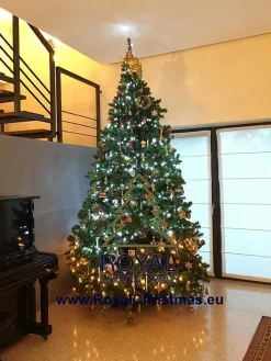 Royal Christmas - Kunstkerstboom - Dakota Premium Pvc – 180 Cm – 498 Takken Groen Sale