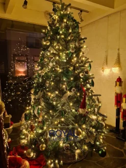 Royal Christmas - Kunstkerstboom - Hawaii Nordmann Deluxe 100% Pe - 210 Cm - Groen 1823 Takken Shop