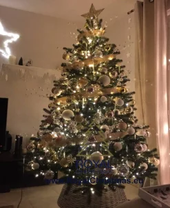 Royal Christmas - Kunstkerstboom - Hawaii Nordmann Deluxe 100% Pe - 210 Cm - Groen 1823 Takken Shop