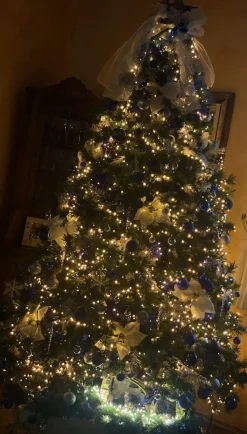 Royal Christmas - Kunstkerstboom - Oregon Deluxe Pvc - 210Cm - 1090 Takken - Groen Discount