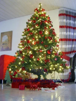 Royal Christmas - Kunstkerstboom - Oregon Deluxe Pvc - 210Cm - 1090 Takken - Groen Discount